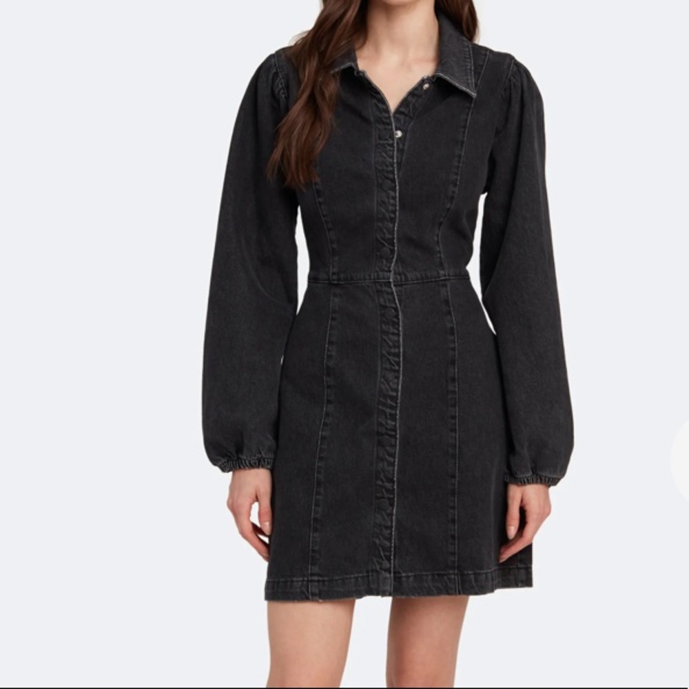 Free People fitted balloon sleeve dress